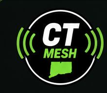 CT Mesh graphic
